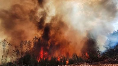 Incendios forestales, PhotoEspaña y viajes sostenibles