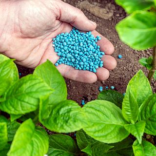 El precio de los fertilizantes en el punto de mira