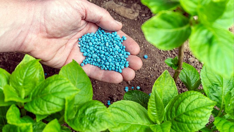 Fin de mes - El precio de los fertilizantes en el punto de mira - Escuchar ahora