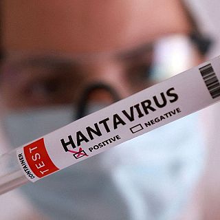 Hantavirus y otras amenazas víricas emergentes
