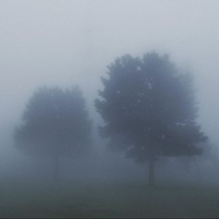 Vapor de música