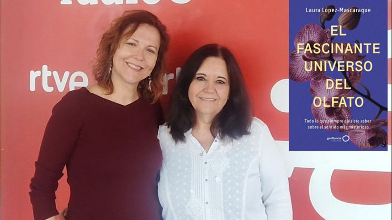 Educar para la paz - 'El fascinante universo del olfato' - 16/05/26 - Escuchar ahora