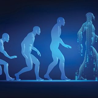 Los pilares de la evoluci�n, con Eudald Carbonell e Igor Parra