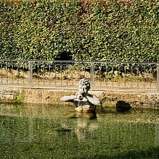 Para cantar sobre el agua