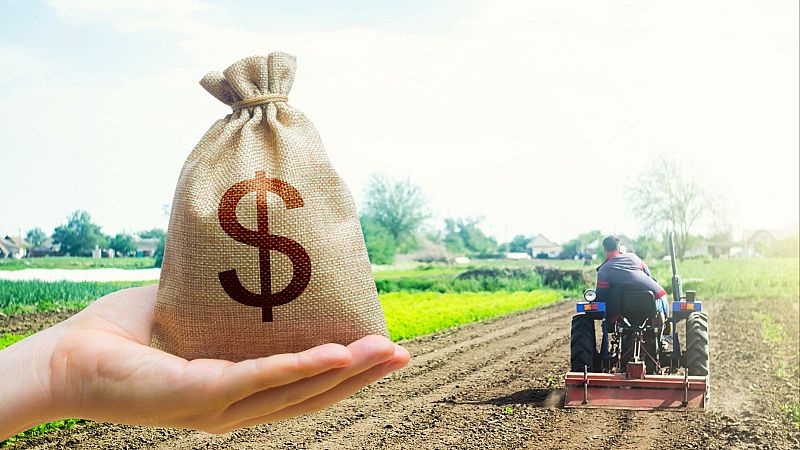 Mundo rural - PAC: importes unitarios definitivos de las ayudas asociadas por superficie - 18/05/26 - Escuchar ahora