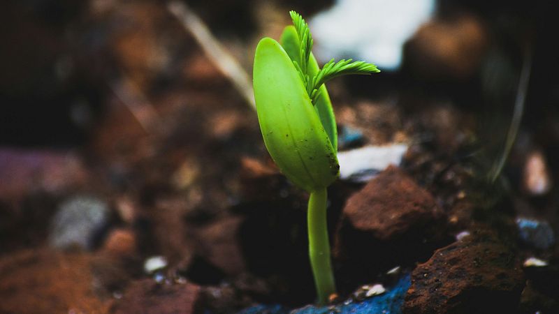 M�sicas con alma - Crear para crecer - 18/05/26 - M�sicas con alma | Escuchar