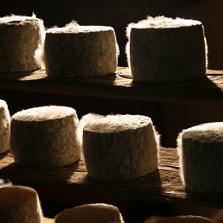 Quesos riojanos que conquistan el mundo