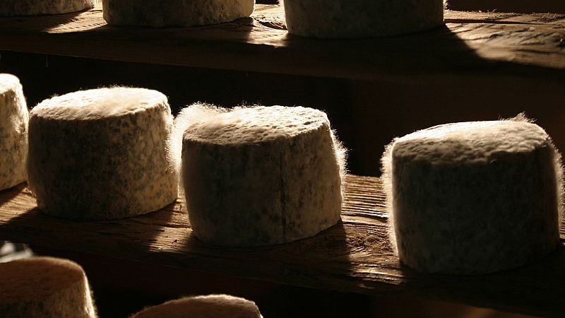 Quesos riojanos que conquistan el mundo - Marca España | Escuchar