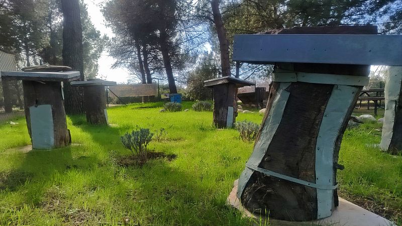 Escapadas - Abejas en el Botánico de Alcalá - 19/05/26 - Escuchar ahora