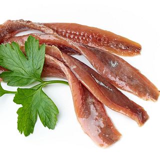 Celebramos la fiesta de la anchoa de Santoña