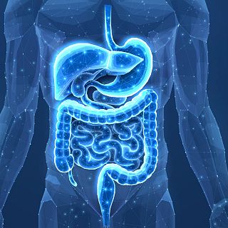 El auge de las enfermedades inflamatorias intestinales