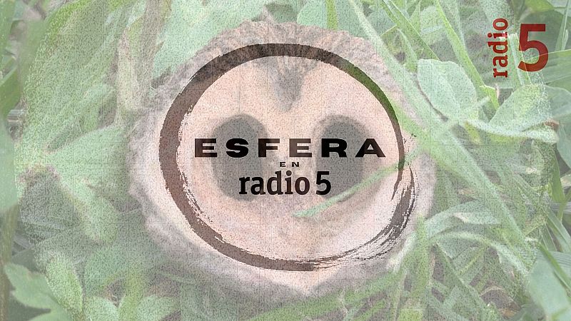 Esfera en Radio 5 - Profundidad - 23/05/26 - Escuchar ahora