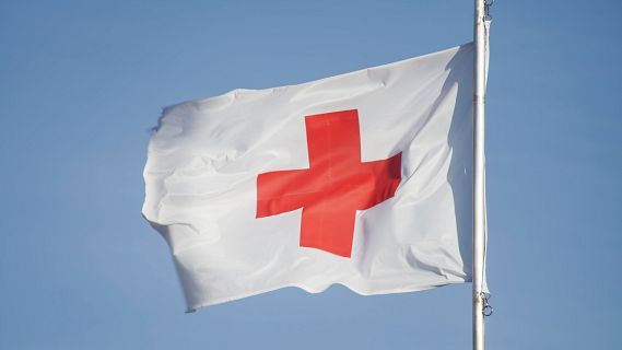 La Creu Roja impulsa una campanya per trobar fam�lies d?acollida