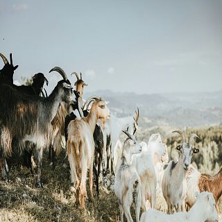 El Cabrero, una historia personal