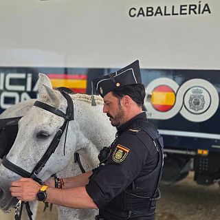 La visita del Papa a España. Plan especial de seguridad