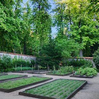 Segovia - El Jardín de la Real Botica
