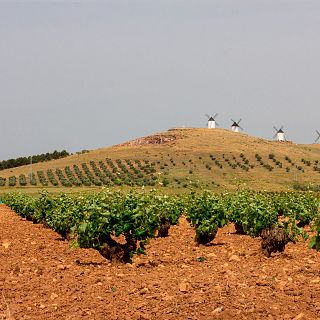 Enoturismo en La Mancha, el valor de lo auténtico