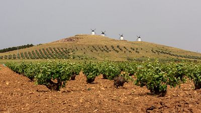 Enoturismo en La Mancha, el valor de lo auténtico
