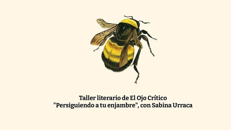 El Ojo Crítico - Taller literario 'Persiguiendo a tu enjambre' con Sabina Urraca - “Plagas” 28/05/2026