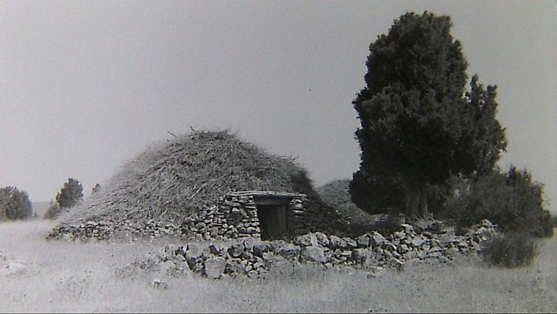 El bosque habitado - Chozones sabineros. Con Asociación Micorriza - 31/05/26 - El bosque habitado | Escuchar