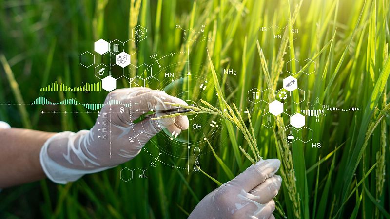 5.0 - Tecnología tras los alimentos - 31/05/26 - Escuchar ahora