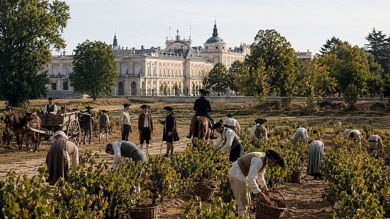 Historias del vino - El Cortijo de Carlos III: ideas para un viñedo ilustrado  - 01/06/26 - Escuchar ahora