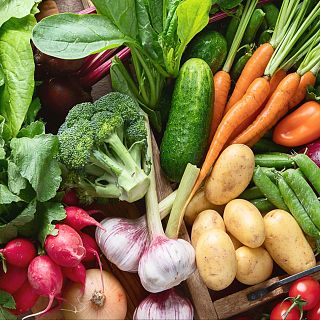 PAC: transparencia sobre los beneficiarios de las ayudas y de los programas del sector de frutas y hortalizas