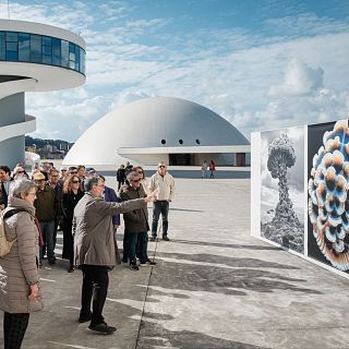 La fauna coralina de Joan Fontcuberta, en el Centro Niemeyer