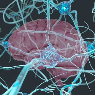 Retos ante la Mutaci�n IQSEC2, una enfermedad gen�tica rara que afecta al desarrollo neurol�gico