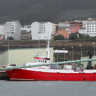 Denuncia a un pesquero español por pescar tiburones en alta mar
