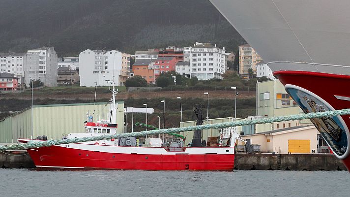 Denuncia a un pesquero español por pescar tiburones en alta mar