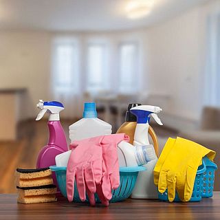 El impacto de los disruptores endocrinos