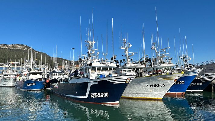 Cepesca impulsa la sostenibilidad de la flota pesquera