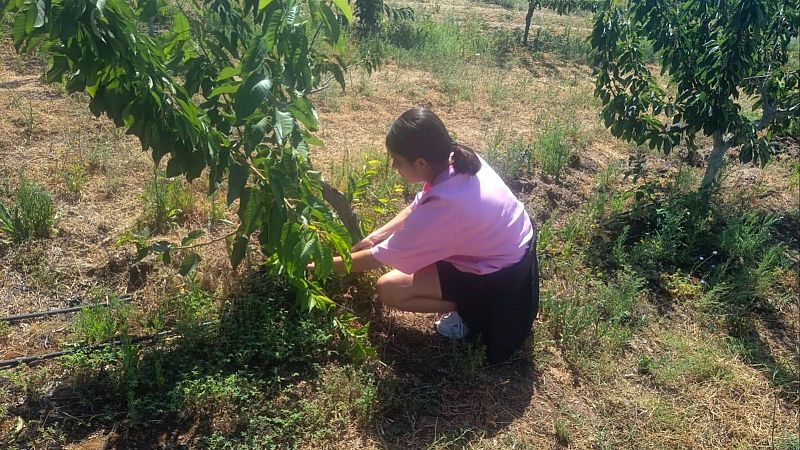 Dos jóvenes agricultoras participan en el programa 'Cultiva' que favorece el relevo generacional - Escuchar ahora