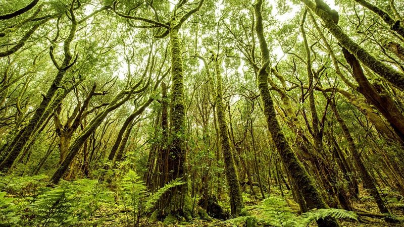 Escapadas - Reliquias prehistóricas - 14/06/26 - Escuchar ahora