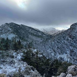 Reserva de la Biosfera Sierra de las Nieves en M�laga