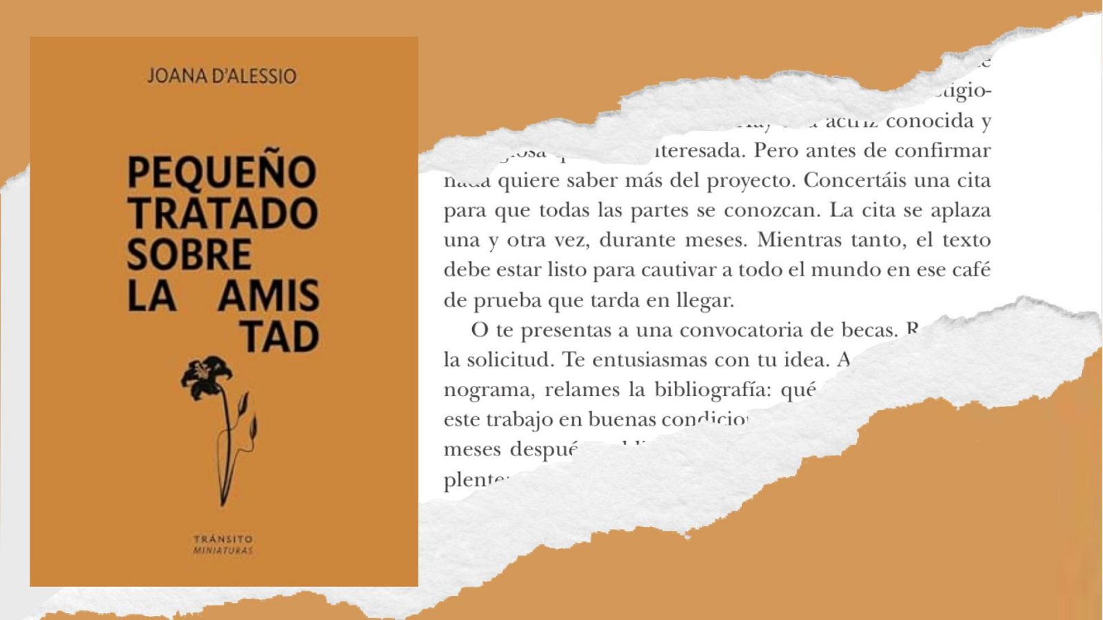Oreja de perro - 'Peque�o tratado sobre la amistad', un libro de Joana D'Alessio para celebrar los v�nculos que nos sostienen - 27/06/26 - Escuchar ahora