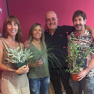 Les plantes més resistents al sol i consells de la podòloga Mercè García per a l'estiu