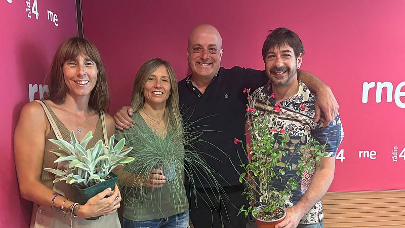 El mat� de R�dio 4 - Les plantes m�s resistents al sol i consells de la pod�loga Merc� Garc�a per a l'estiu - El mat� de R�dio 4 | Escoltar
