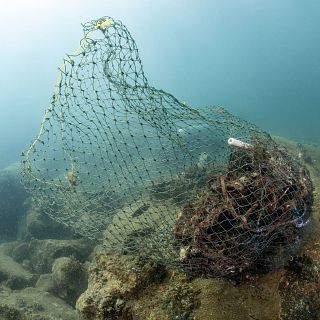 El peligro de las redes 'fantasma' en el Mediterráneo