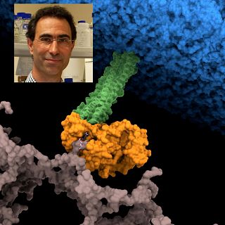 Descubren el talón de Aquiles de una de las bacterias más resistentes a los antibióticos