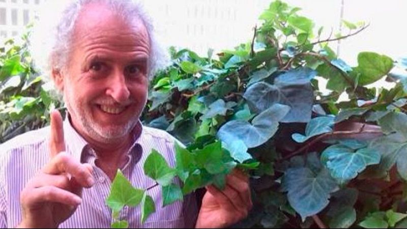 El mat� de R�dio 4 - Albert Rami, herbolari: "El millor remei per no tenir mosquits, paneroles i formigues" - El mat� de R�dio 4 | Escoltar