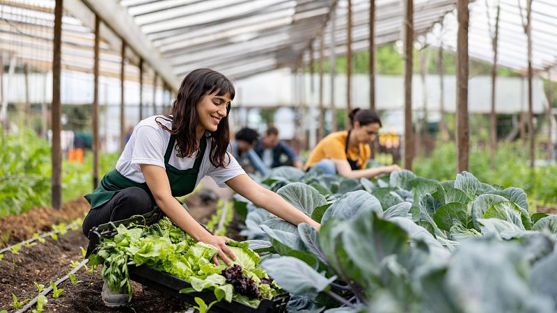 Mundo rural - Programa Cultiva - 19/06/26 - Escuchar ahora