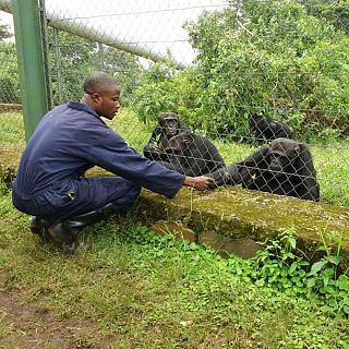 República Democrática del Congo hace frente a la guerra, el ébola y la destrucción de su hábitat
