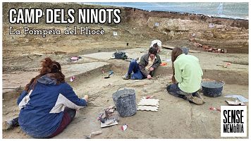 Camp dels Ninots, la Pompeia del Plioc�