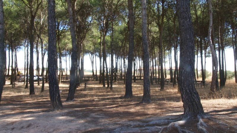 Escapadas - El Camino Natural del Tajo - 25/06/26 - Escuchar ahora