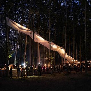 Festival Rizomes, recomanacions culturals per Sant Joan amb Albert Fern�ndez i descobreix el petard que ets amb Mallafr�