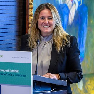 La Djudería de Sevilla: kultura i turismo. Angie Moreno