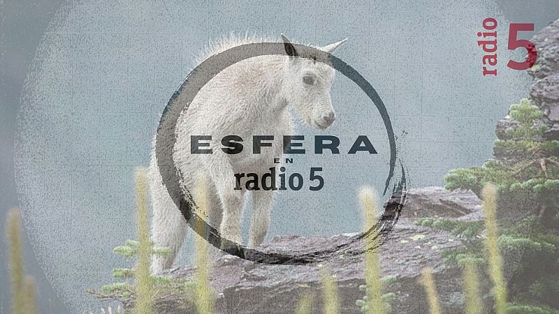Esfera en Radio 5 - Culpa - 27/06/26 - Escuchar ahora
