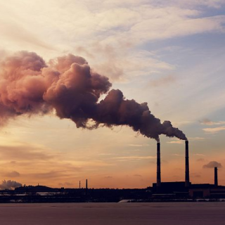 Cau la preocupació pel canvi climàtic entre els joves